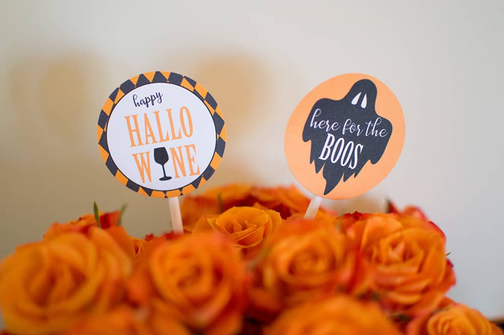 adult Halloween party circles in roses