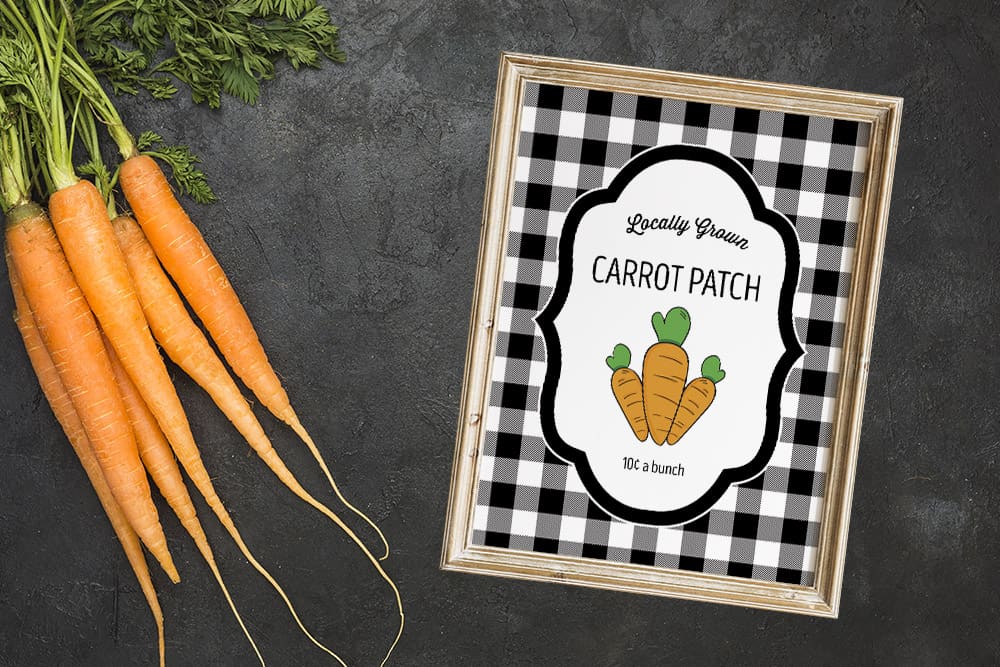 Carrot Patch Printables
