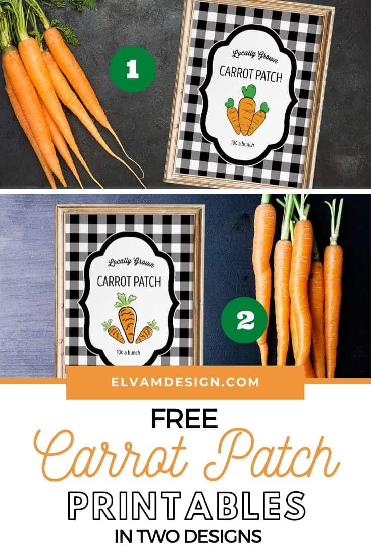 Carrot Patch Printables Elva M Design Studio