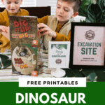 Dinosaur Dig Up Activity
