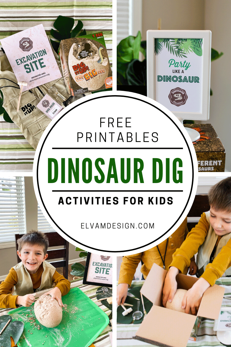 dinosaur dig up