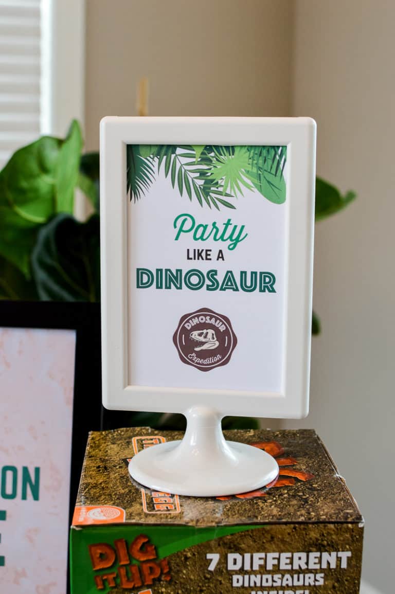 dinosaur dig up