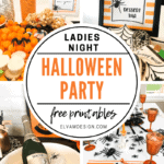 Spider Halloween Party