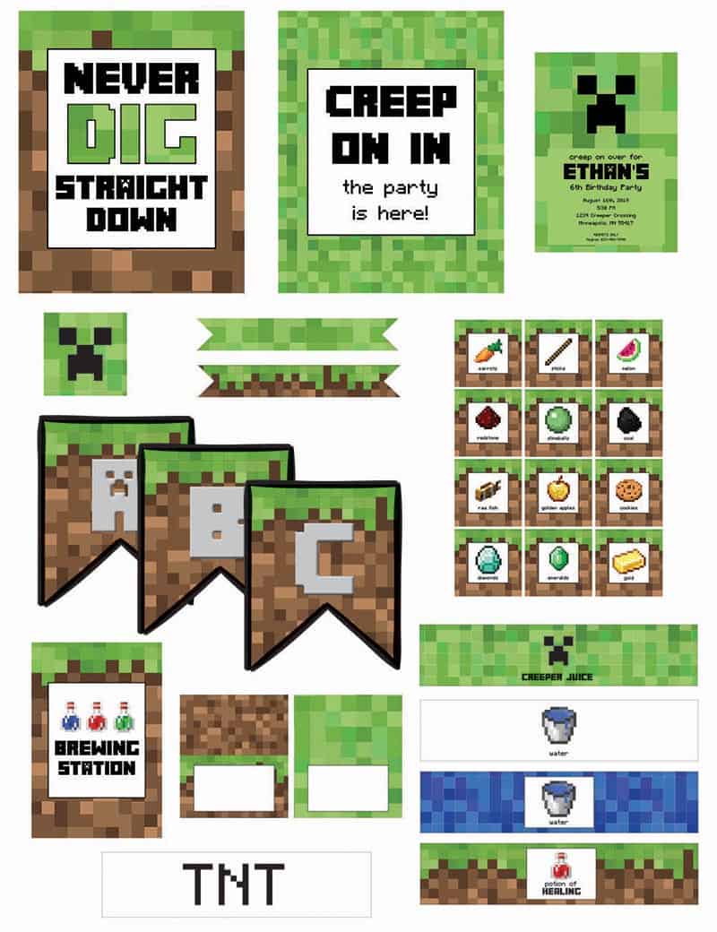 Minecraft Birthday Party (with Free Printables) Elva M Design Studio