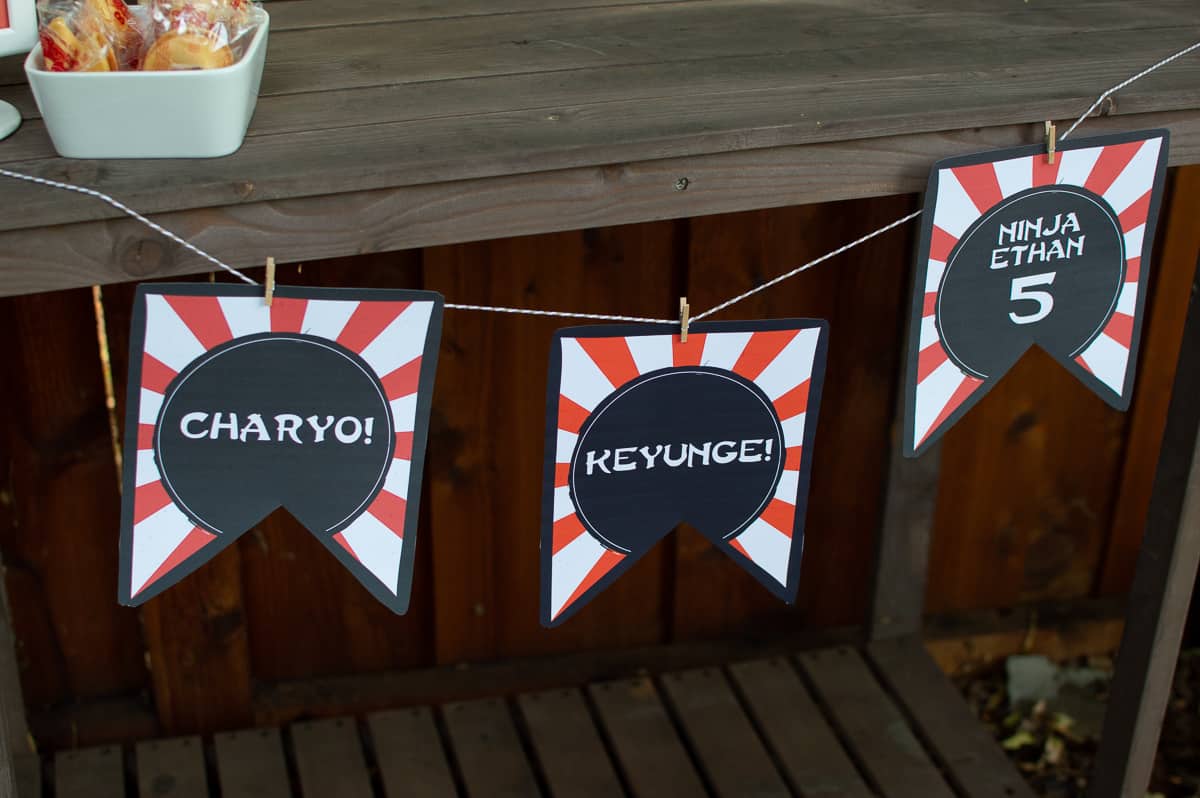 Karate Phrase Party Banner