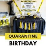 Quarantine Birthday Party Ideas