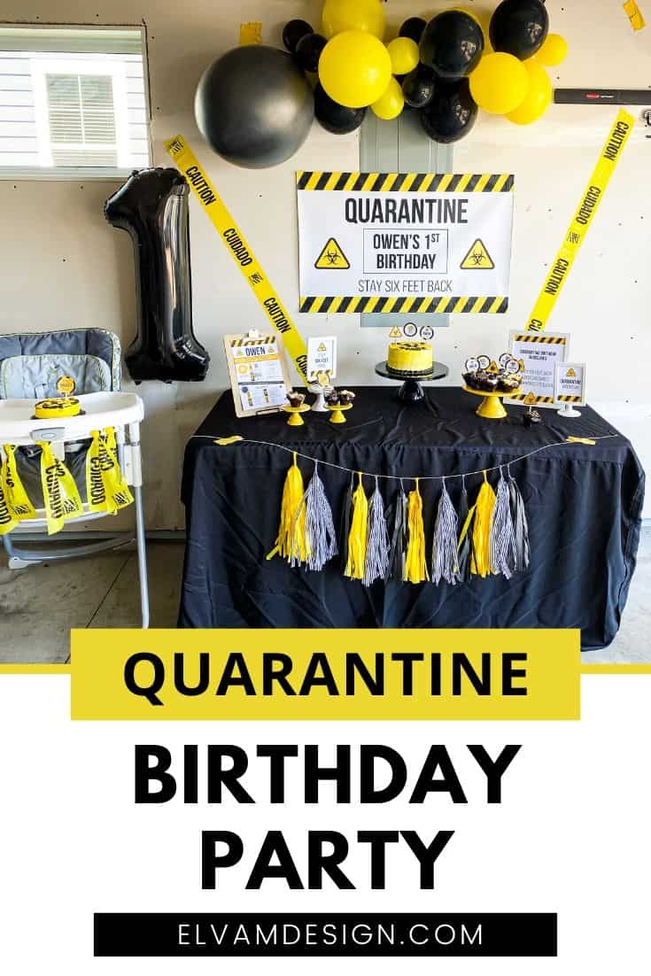 Quarantine Birthday Party Ideas