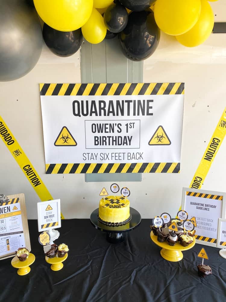Quarantine Party Backdrop