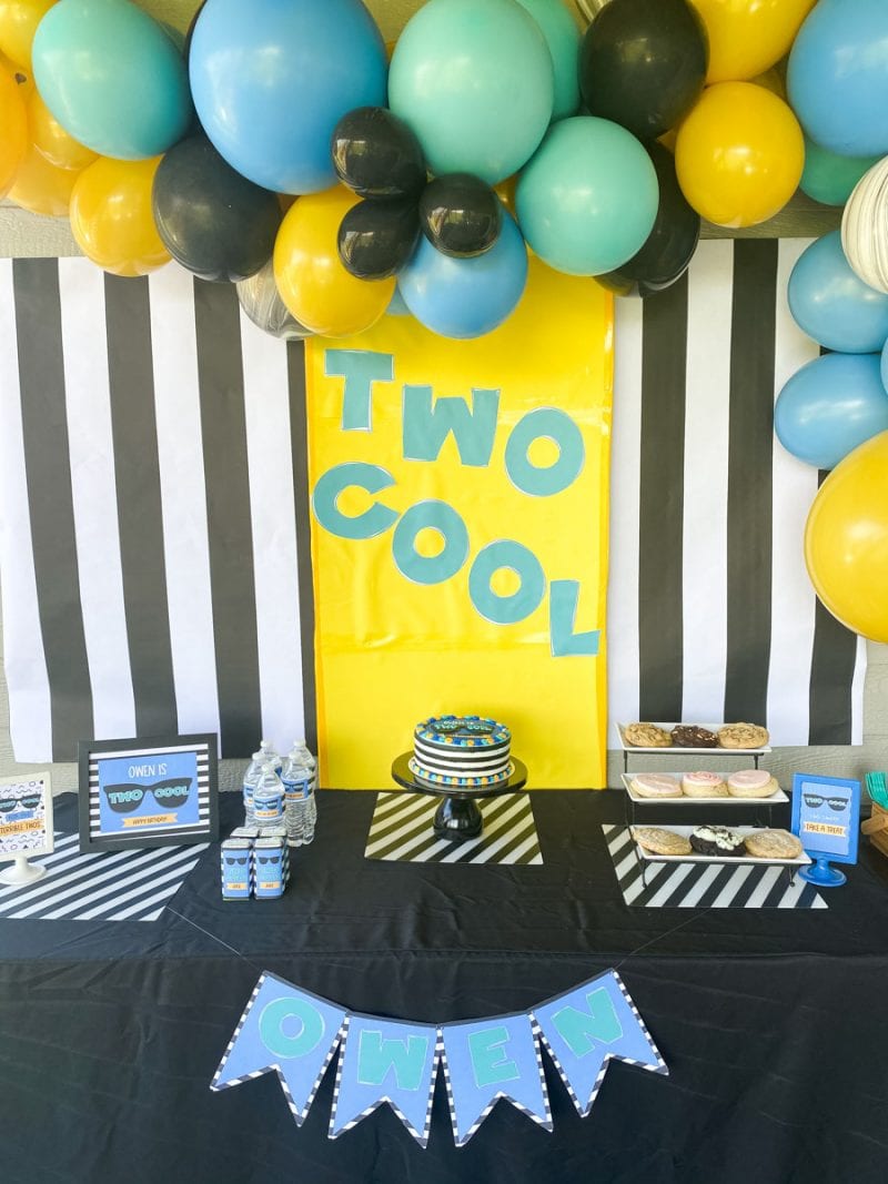 Two Cool Birthday Party - Elva M Design Studio